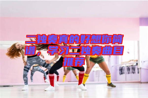二獨奏真的好想你簡譜，學習二獨奏曲目推薦