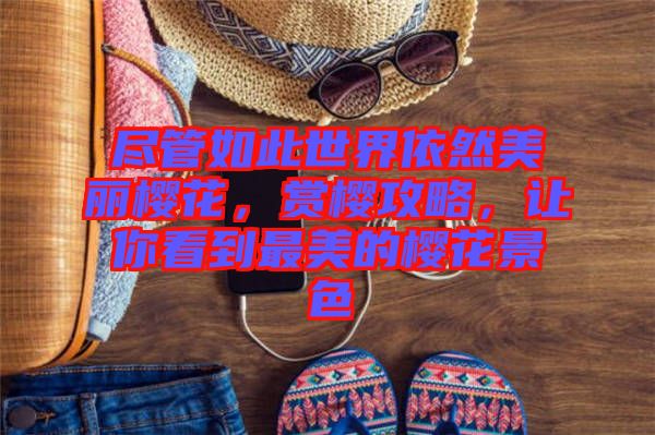 盡管如此世界依然美麗櫻花，賞櫻攻略，讓你看到最美的櫻花景色