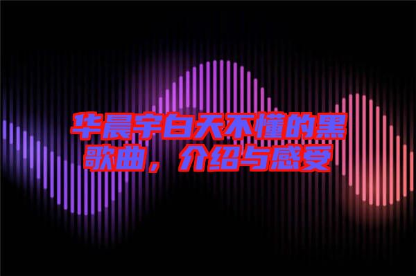華晨宇白天不懂的黑歌曲，介紹與感受