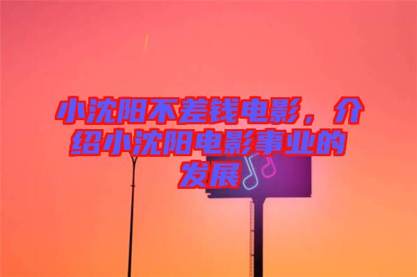 小沈陽不差錢電影，介紹小沈陽電影事業的發展