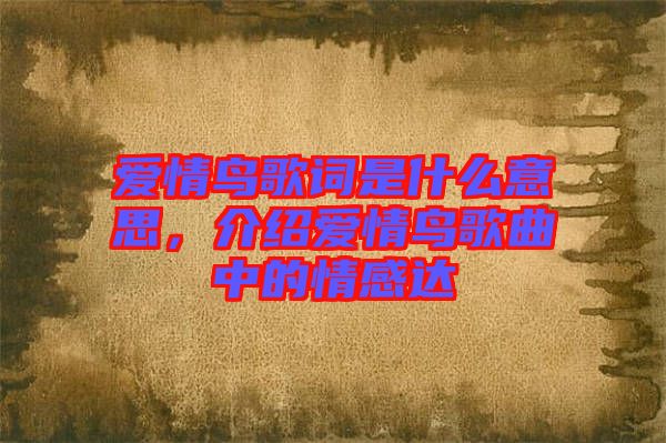 愛情鳥歌詞是什么意思，介紹愛情鳥歌曲中的情感達