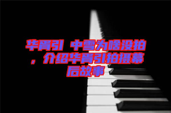 華胥引柸中雪為啥沒拍，介紹華胥引拍攝幕后故事