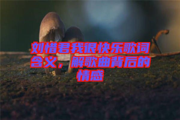 劉惜君我很快樂歌詞含義，解歌曲背后的情感