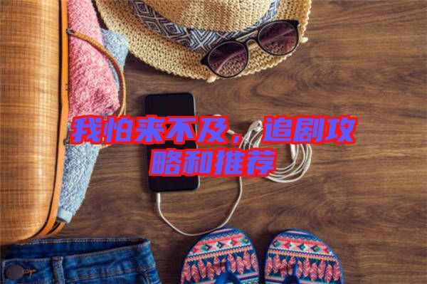 我怕來(lái)不及，追劇攻略和推薦