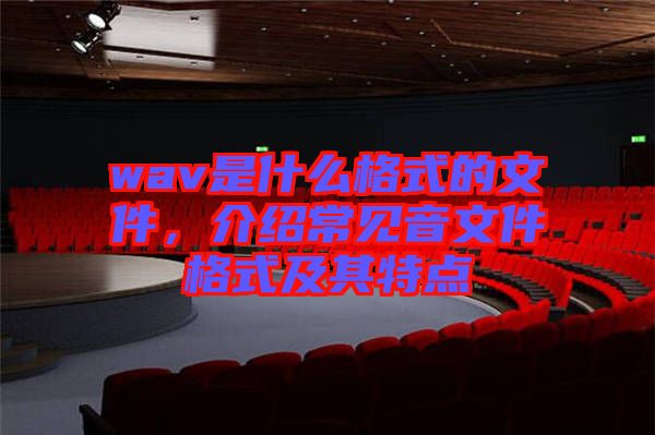 wav是什么格式的文件，介紹常見(jiàn)音文件格式及其特點(diǎn)
