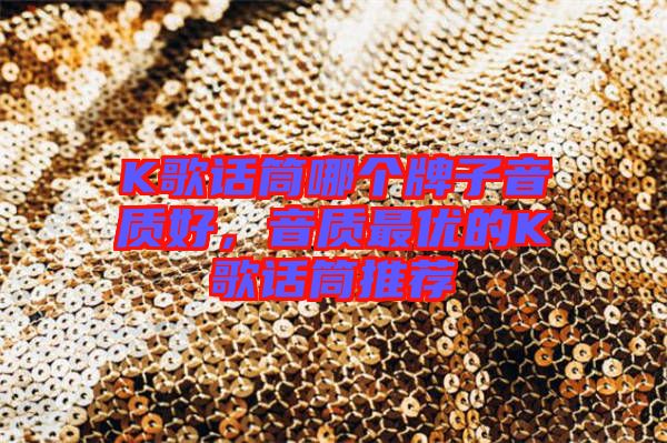 K歌話筒哪個牌子音質好，音質最優的K歌話筒推薦