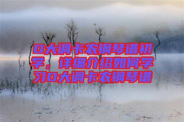 D大調(diào)卡農(nóng)鋼琴譜初學(xué)，詳細(xì)介紹如何學(xué)習(xí)D大調(diào)卡農(nóng)鋼琴譜