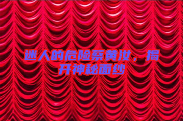 迷人的危險(xiǎn)蔡黃汝，揭開神秘面紗