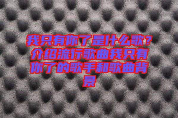 我只有你了是什么歌？介紹流行歌曲我只有你了的歌手和歌曲背景