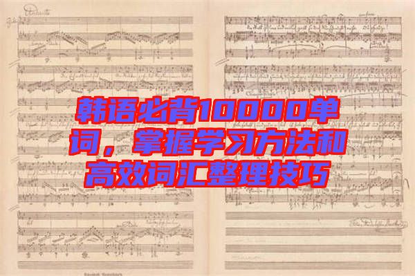 韓語必背10000單詞，掌握學習方法和高效詞匯整理技巧