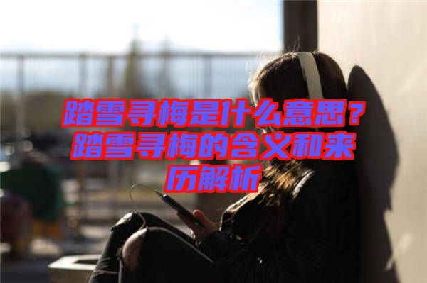 踏雪尋梅是什么意思？踏雪尋梅的含義和來歷解析