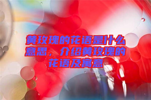 黃玫瑰的花語是什么意思，介紹黃玫瑰的花語及寓意