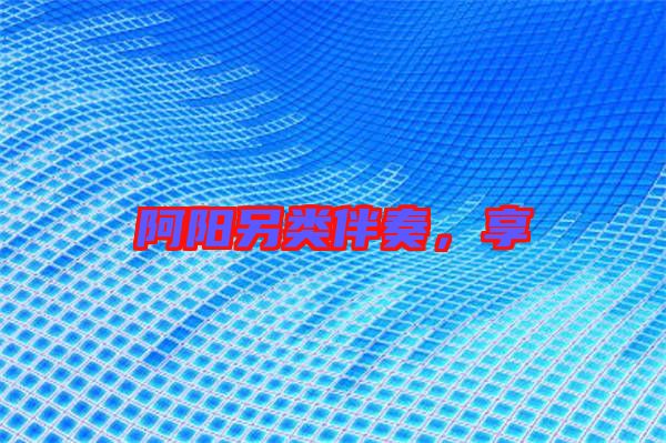 阿陽另類伴奏，享